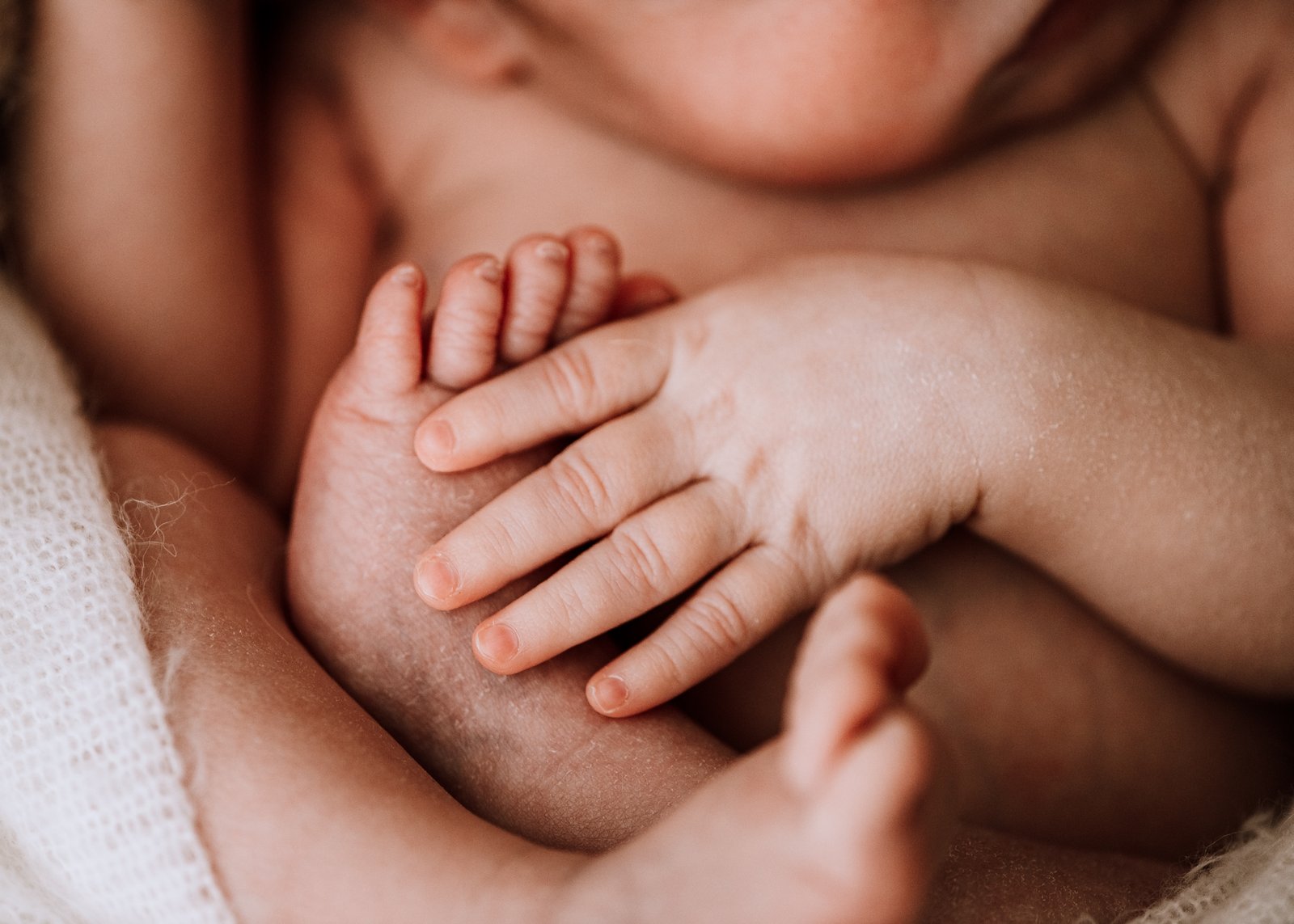 Newborn photography in Bundaberg